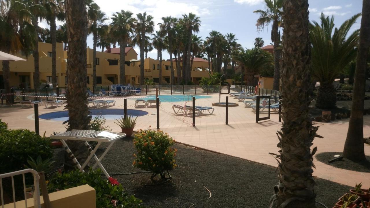 Oasis Royal F217 Leilighet Corralejo Eksteriør bilde