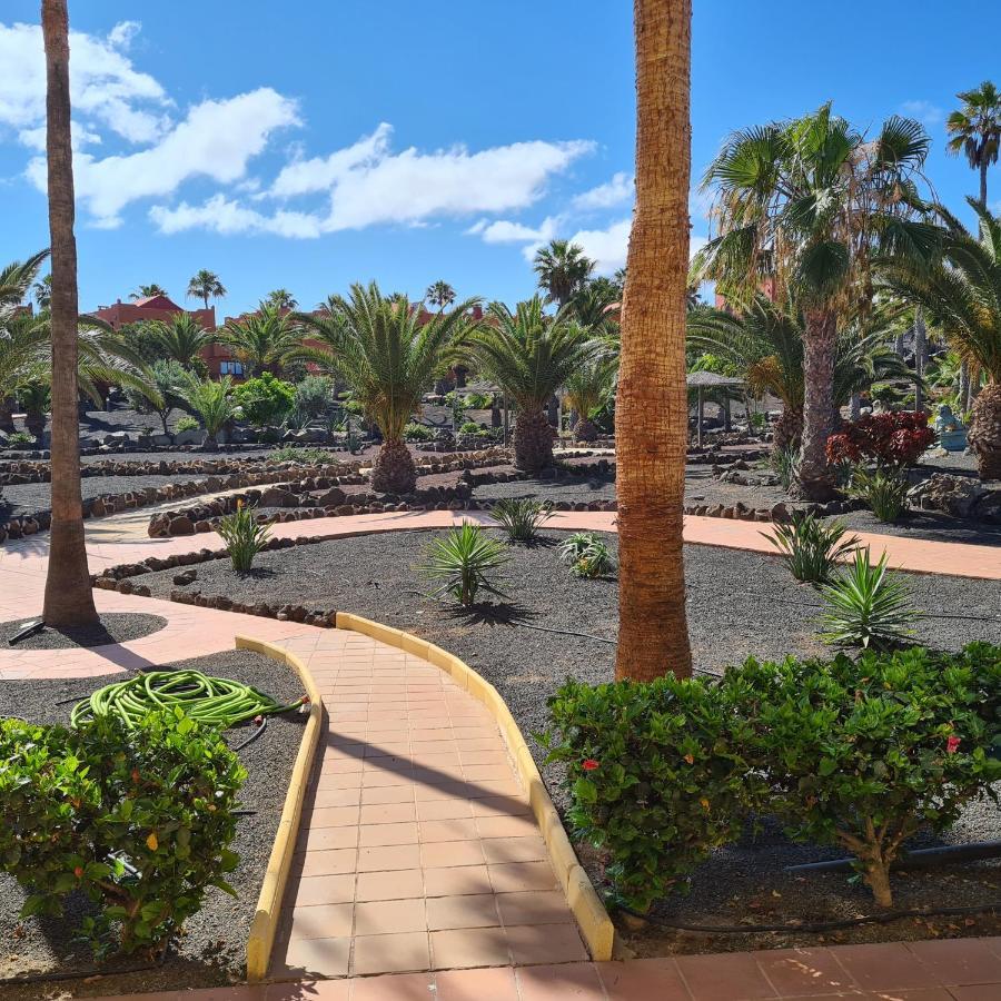 Oasis Royal F217 Leilighet Corralejo Eksteriør bilde