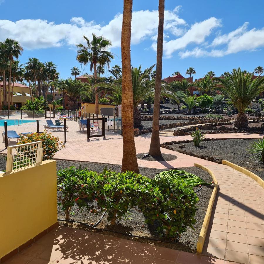 Oasis Royal F217 Leilighet Corralejo Eksteriør bilde